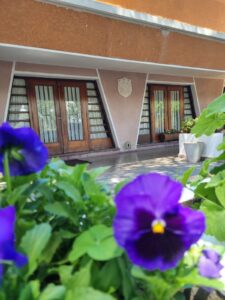 WhatsApp Image 2025-11-03 at 08.21